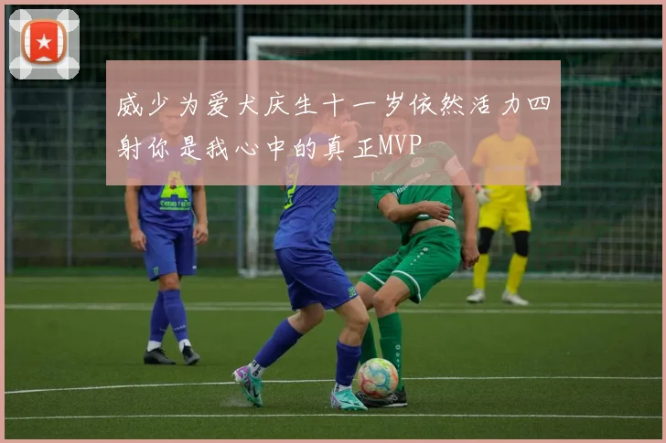 威少为爱犬庆生十一岁依然活力四射你是我心中的真正MVP