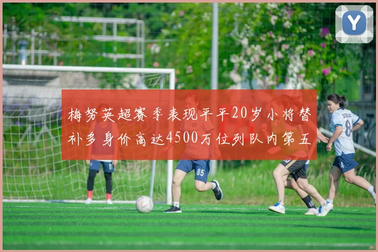 梅努英超赛季表现平平20岁小将替补多身价高达4500万位列队内第五